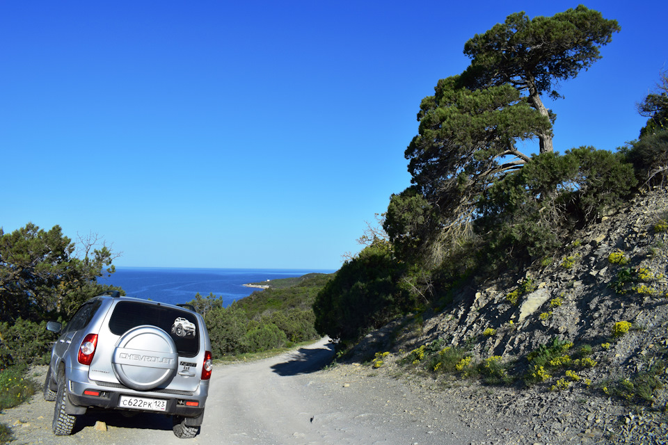 Фото в бортжурнале Chevrolet Niva (1G)