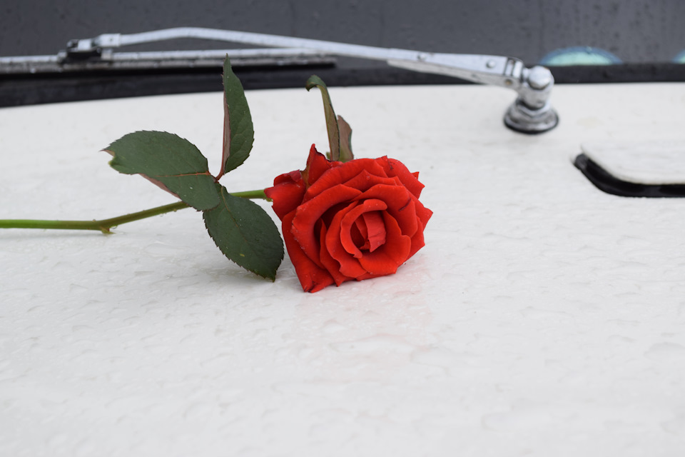 Фото в бортжурнале ГАЗ М-20 Победа