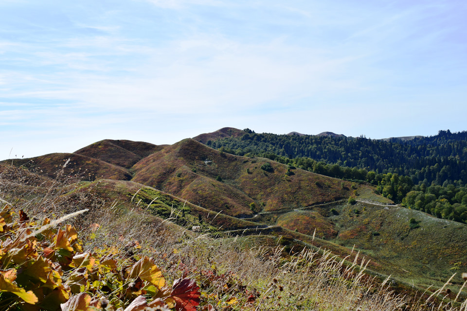 Фото в бортжурнале Chevrolet Niva (1G)