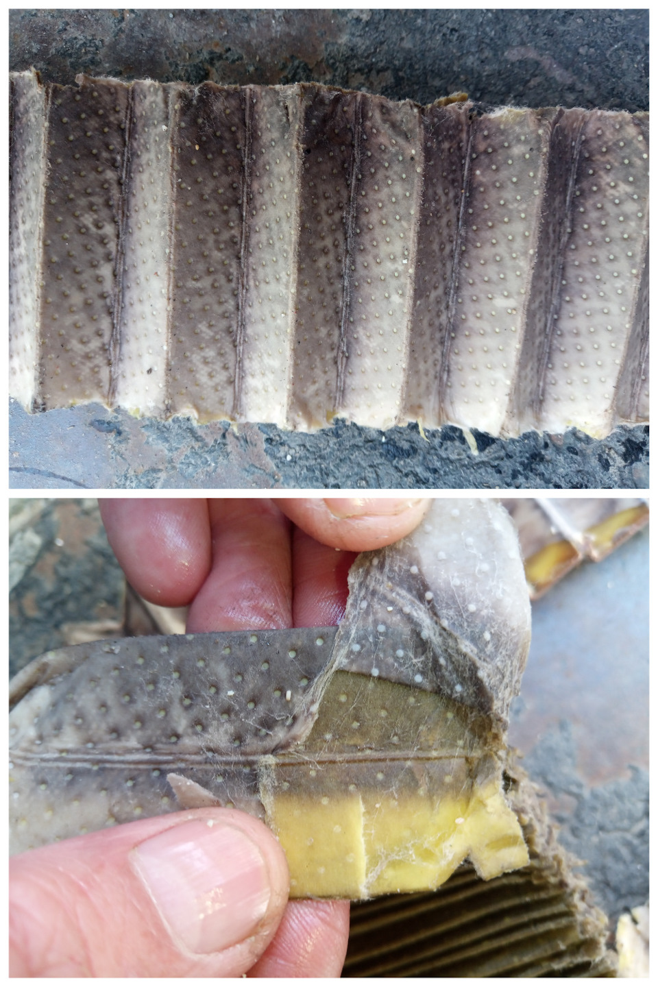 Фильтрующий элемент Delphi — SsangYong Kyron