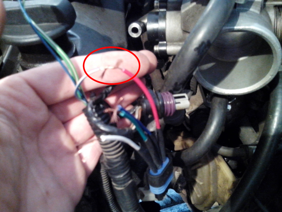 Фото в бортжурнале ЗАЗ 1103