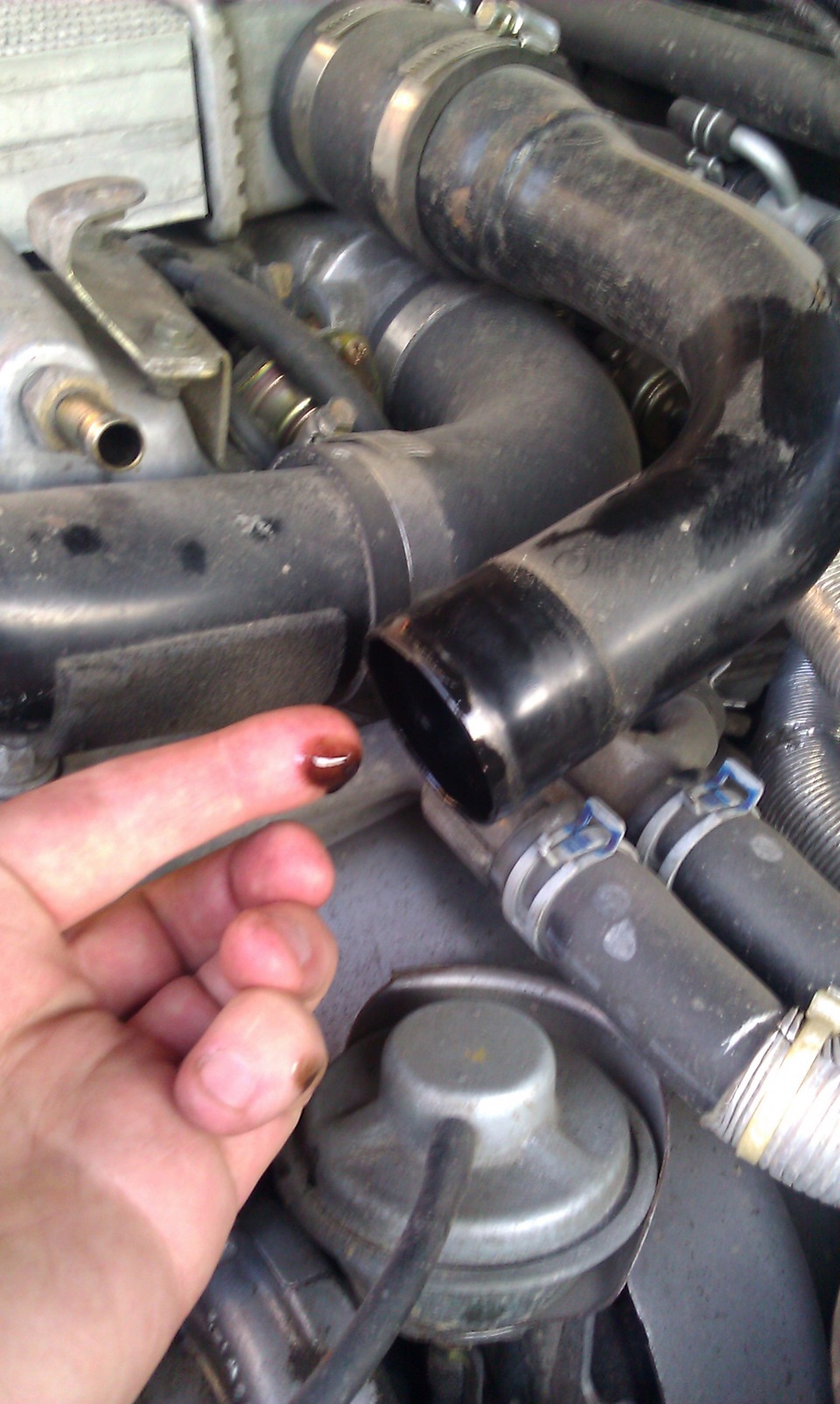 Фото в бортжурнале Nissan Patrol GR II (Y61)