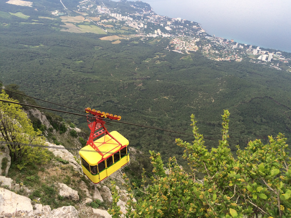 Фото в бортжурнале Volkswagen Multivan (T4)