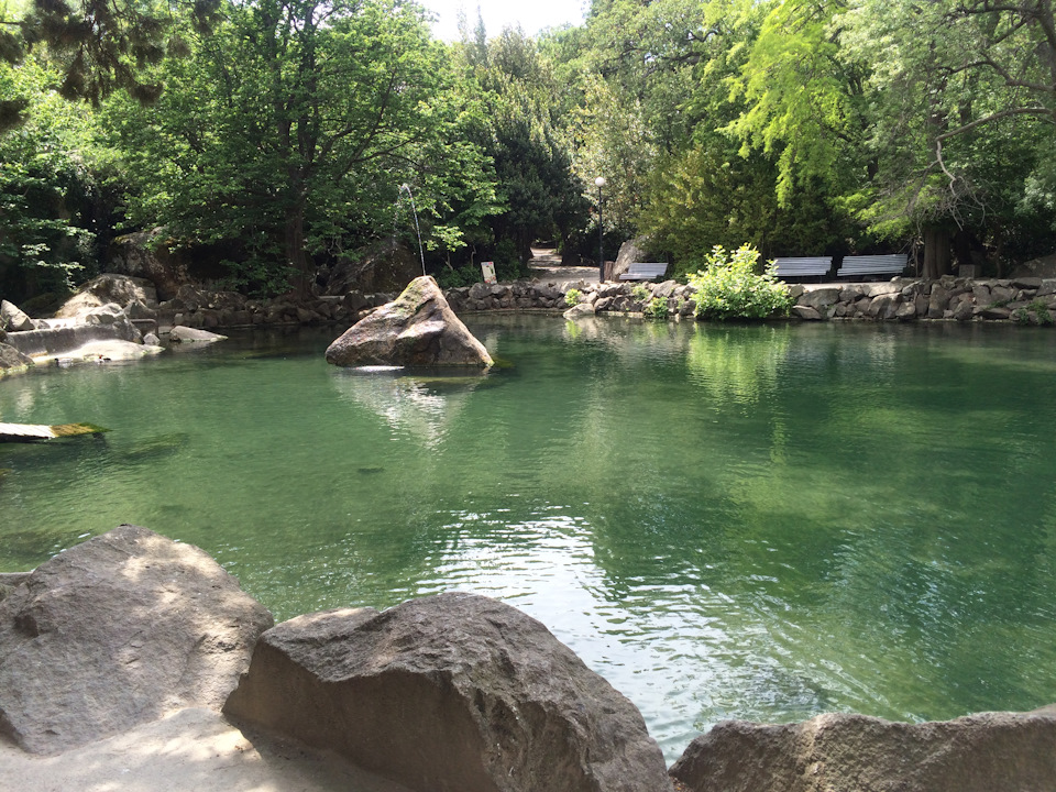 Фото в бортжурнале Volkswagen Multivan (T4)