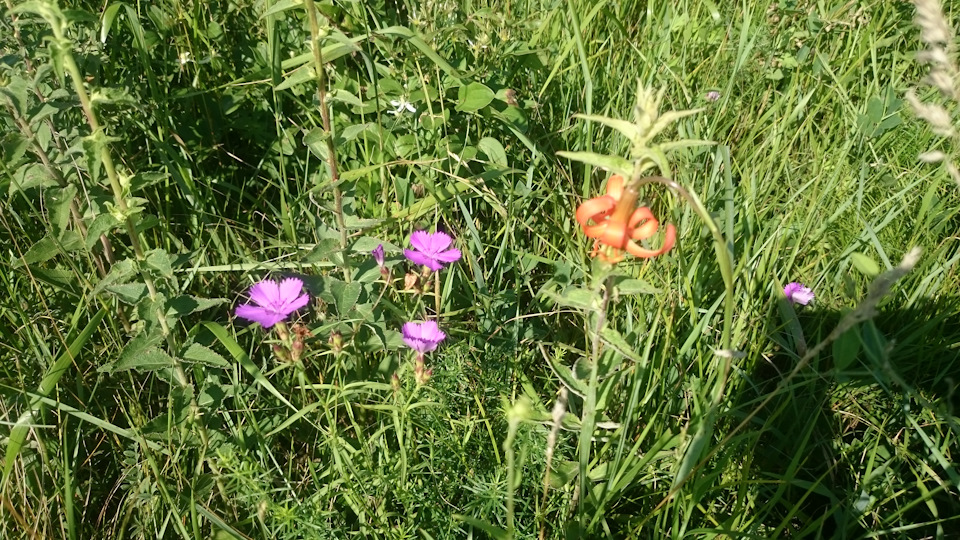 Фото в бортжурнале Toyota Land Cruiser Prado 70-series