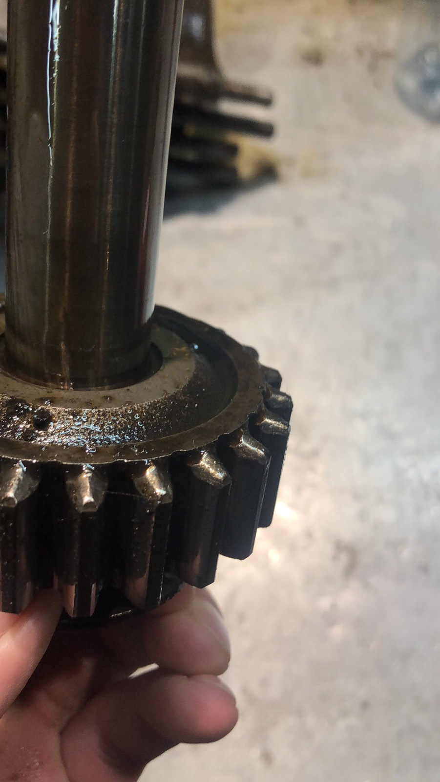 Фото в бортжурнале Toyota 4Runner (2G)