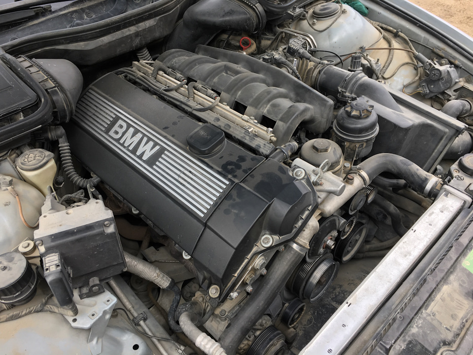 Фото в бортжурнале BMW 5 series (E39)
