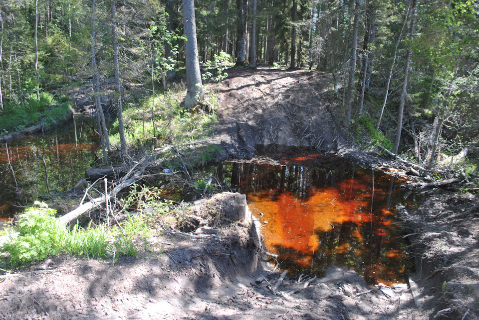 Фото в бортжурнале УАЗ Patriot