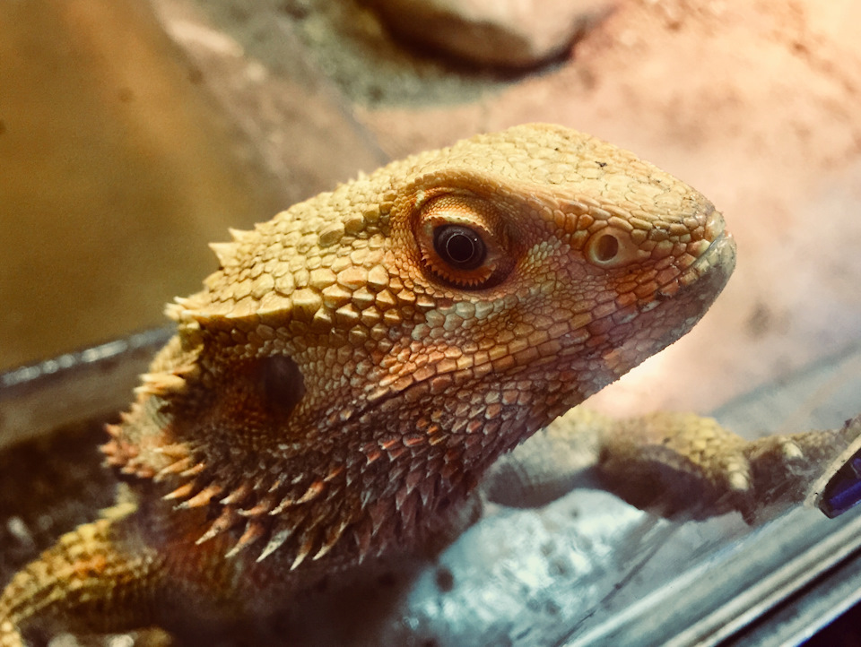 Фото в бортжурнале Skoda Superb Mk2