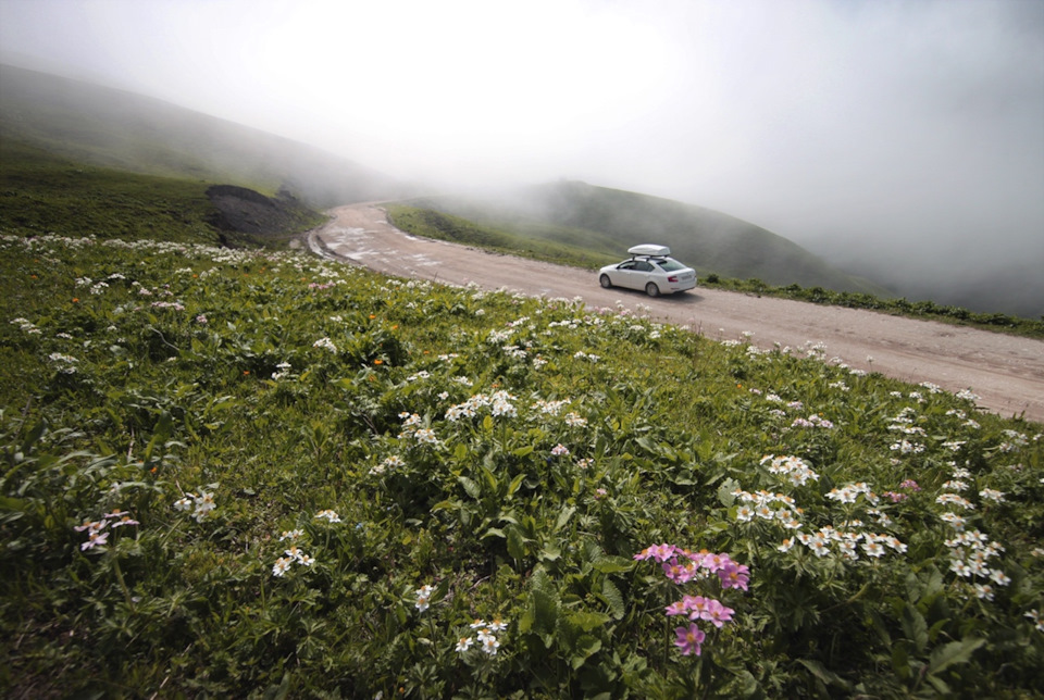 Фото в бортжурнале Skoda Octavia A7 Mk3