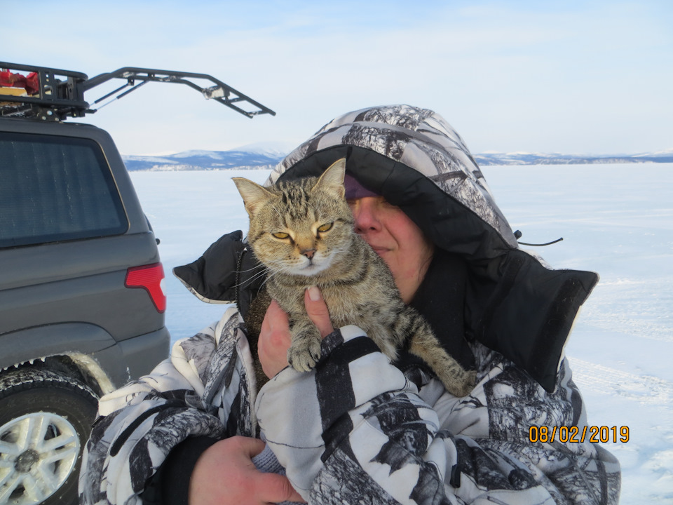 Ну и котика Вам Мелководнинского в ленту — УАЗ Patriot. Запчасти на фото: 08022019