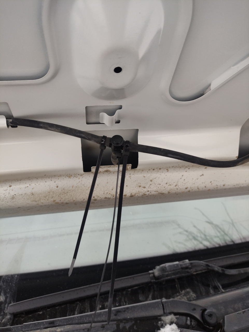 Фото в бортжурнале Lada Vesta SW (1G)