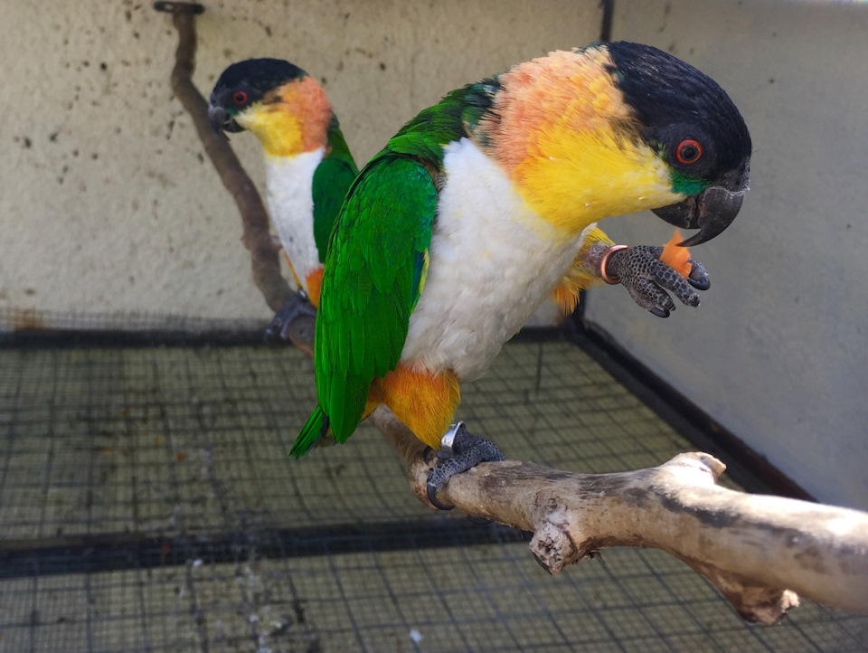 Фото в бортжурнале Skoda Superb Mk2