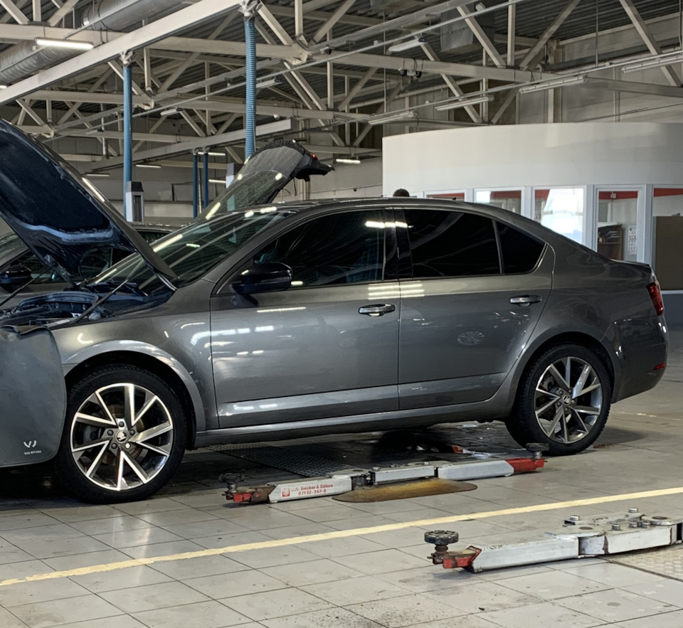 Фото в бортжурнале Skoda Octavia A7 Mk3