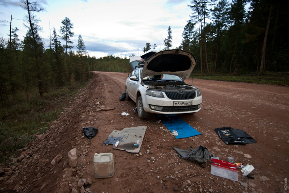 Фото в бортжурнале Skoda Octavia A7 Mk3