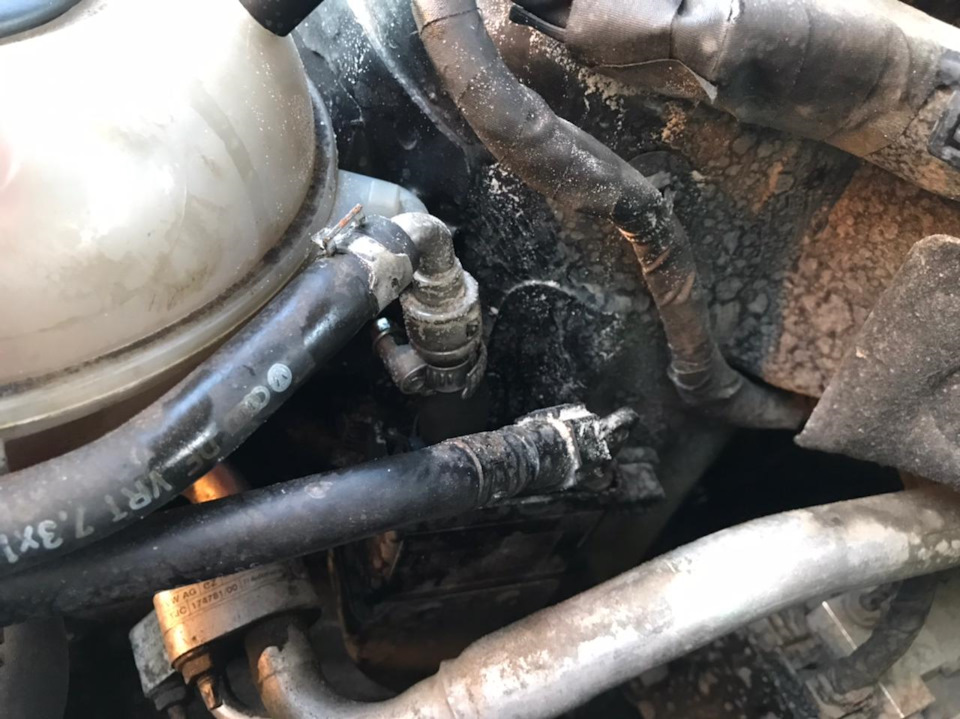 Фото в бортжурнале Skoda Octavia A7 Mk3