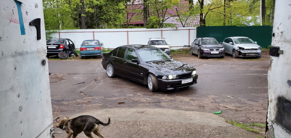 Фото в бортжурнале BMW 5 series (E39)