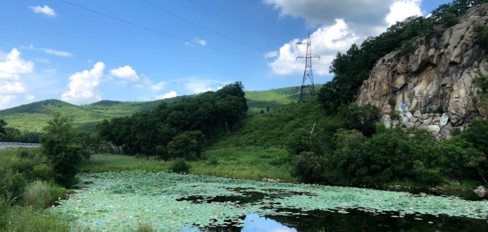 Озеро Лотосов — Honda Freed (2G)