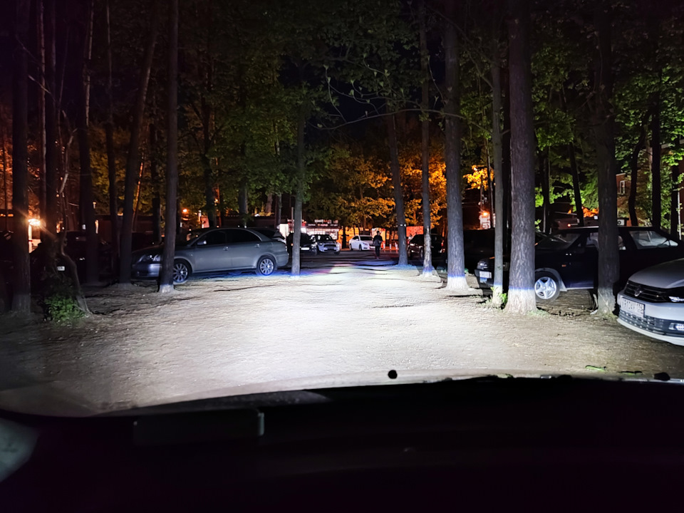 свет в лесу на сырой земле — Ford Focus Sedan II