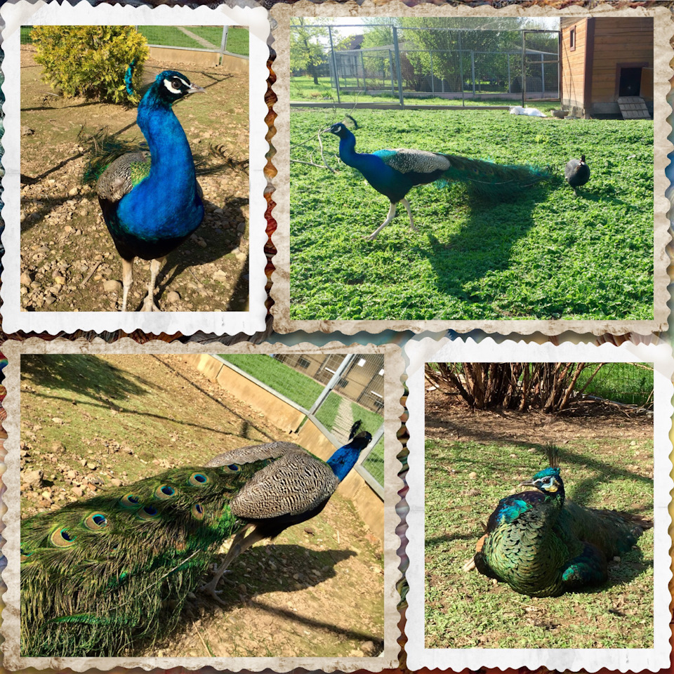 Фото в бортжурнале Skoda Superb Mk2