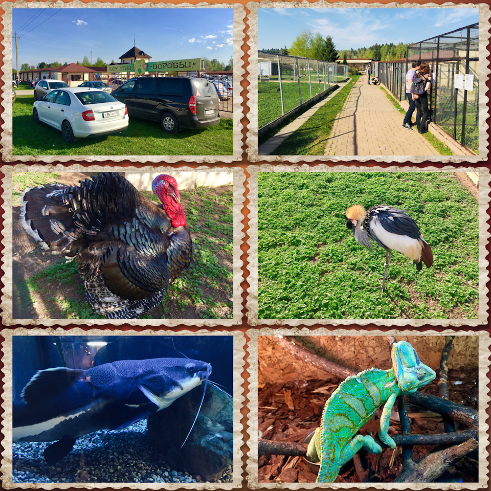 Фото в бортжурнале Skoda Superb Mk2