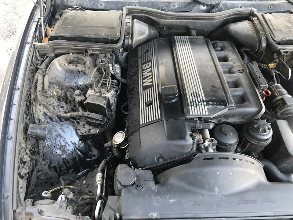 Фото в бортжурнале BMW 5 series (E39)