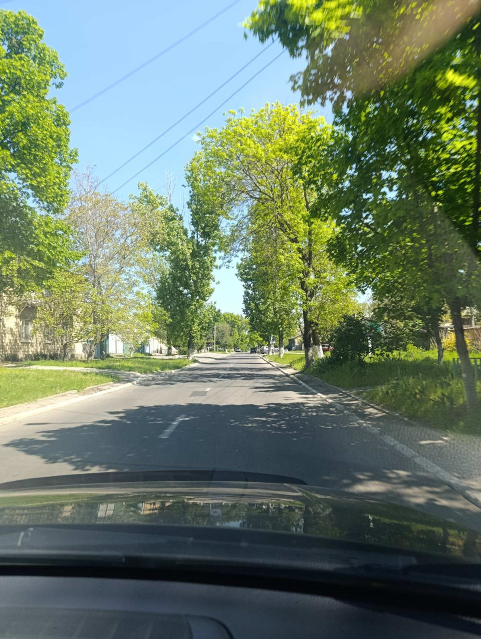 Если не присматриваться, можно подумать, что это лес, но мы уже в Бендерах — Volvo XC90 (1G)