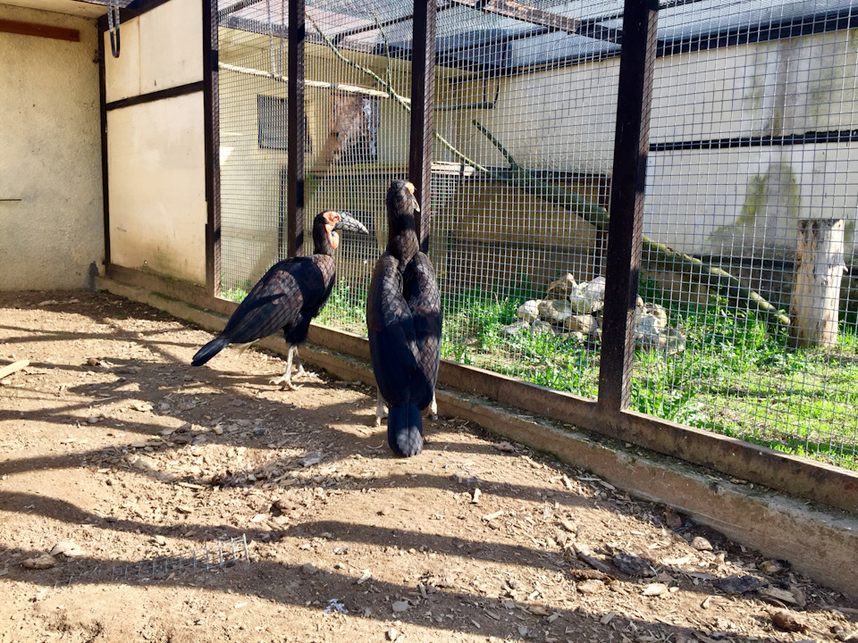 Фото в бортжурнале Skoda Superb Mk2