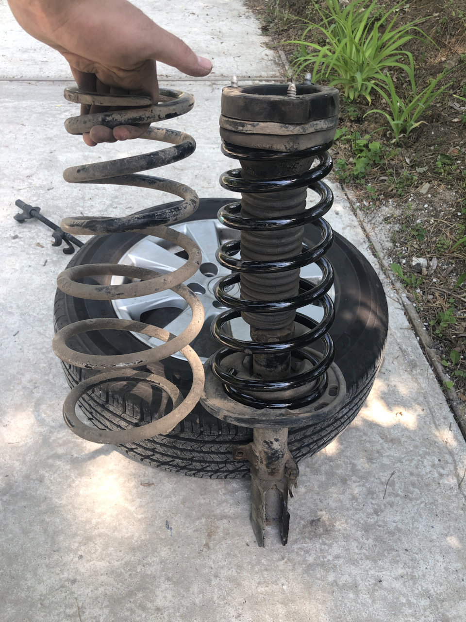 У новой задней пружины по какой-то непонятной причине на 1 виток больше. — Toyota Camry (XV40)