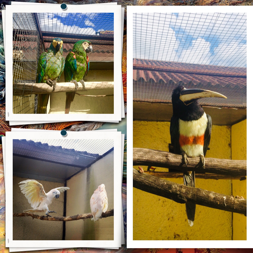 Фото в бортжурнале Skoda Superb Mk2