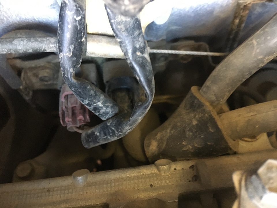 Фото в бортжурнале Mitsubishi Carisma