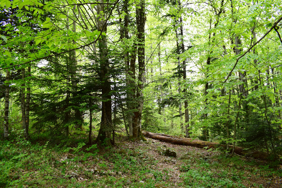 Фото в бортжурнале Chevrolet Niva (1G)