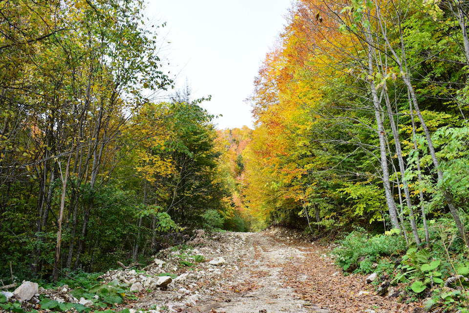Фото в бортжурнале Chevrolet Niva (1G)