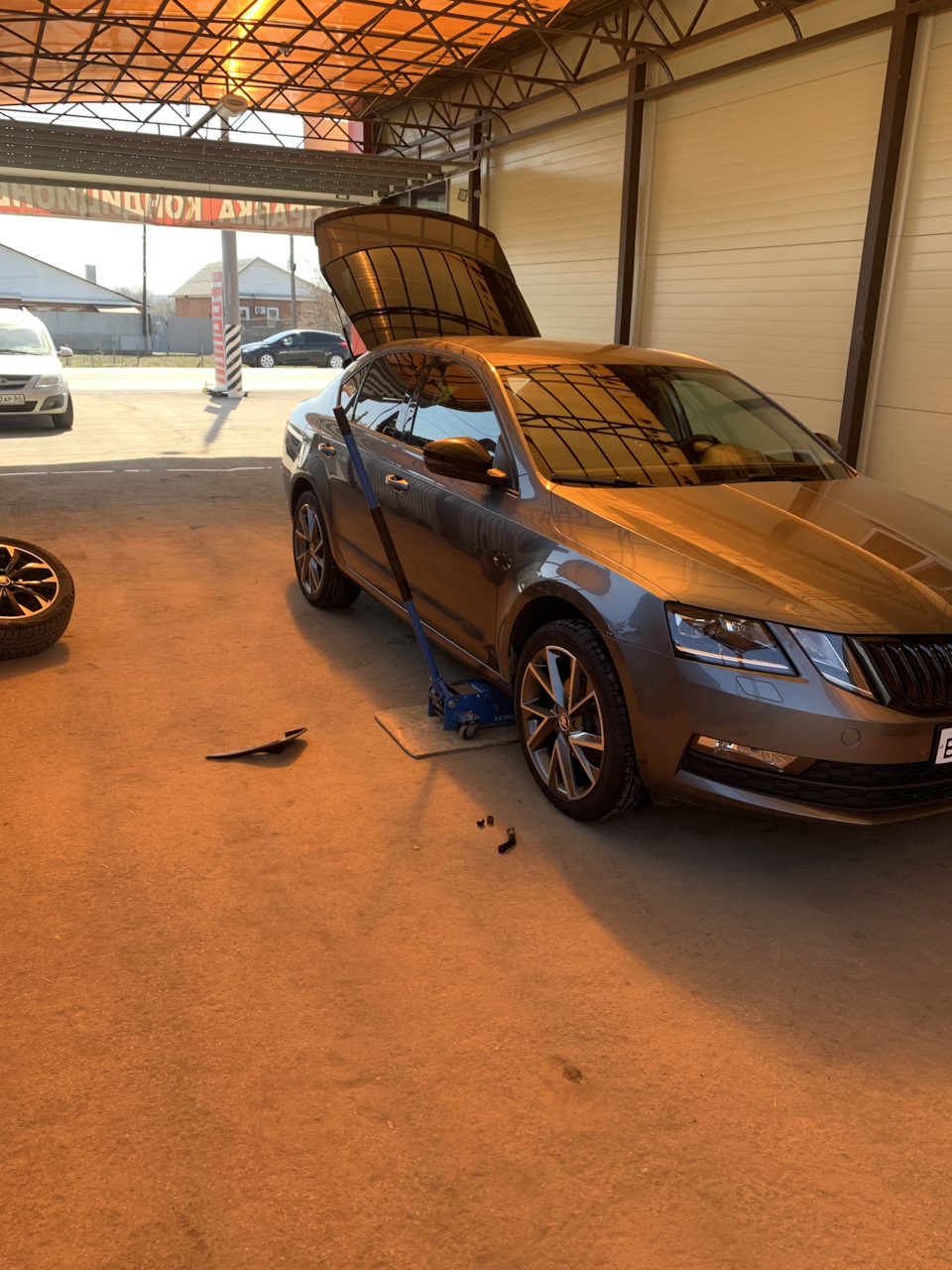 Фото в бортжурнале Skoda Octavia A7 Mk3