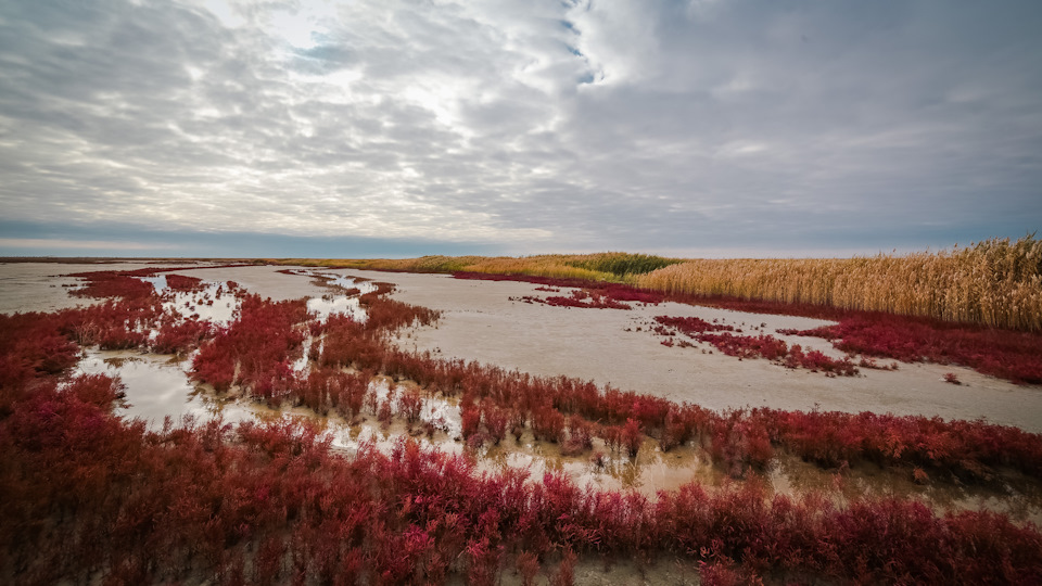 Фото в бортжурнале Renault Duster (1G)