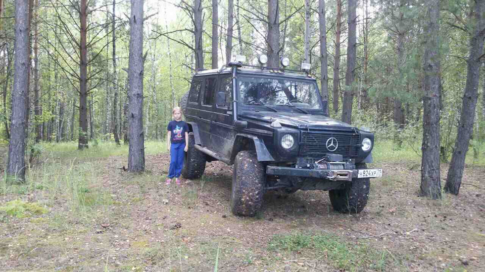 Фото в бортжурнале Mercedes-Benz G-Class (W460/W461)