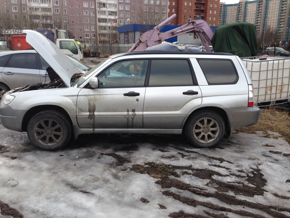 Фото в бортжурнале Subaru Forester (SG)