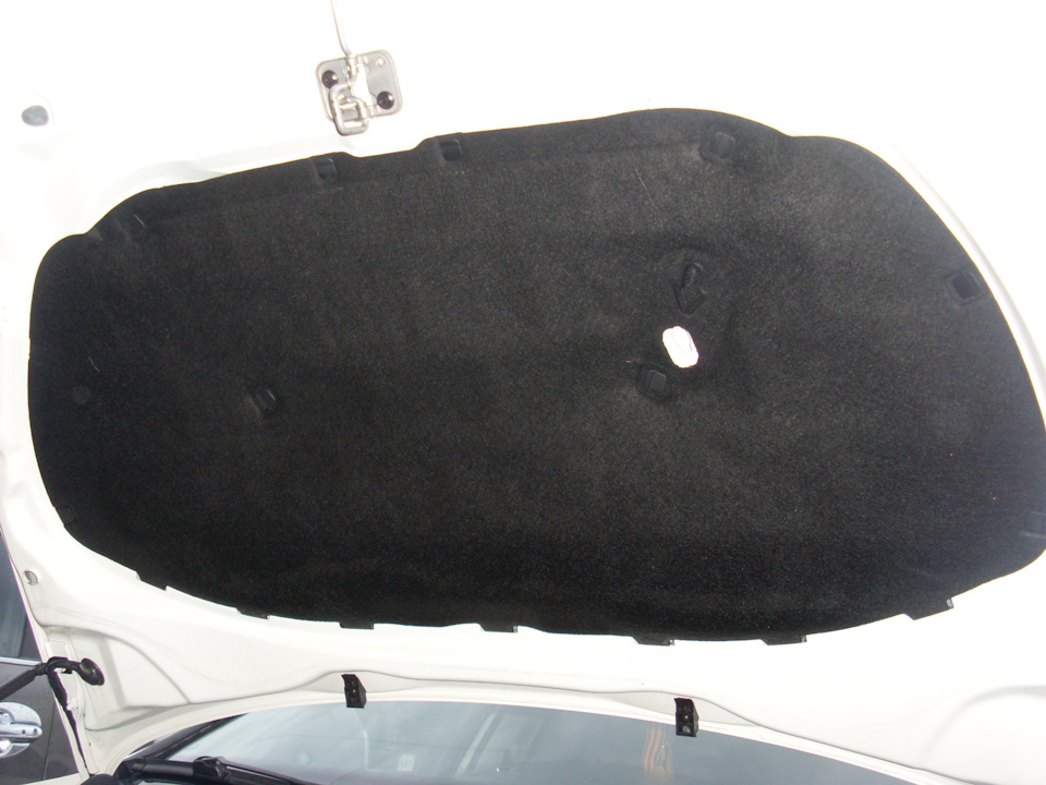 Фото в бортжурнале Volkswagen Polo Sedan