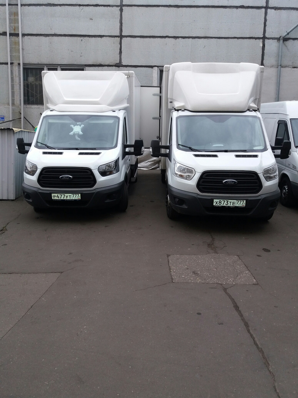 Фото в бортжурнале Ford Transit (8G)