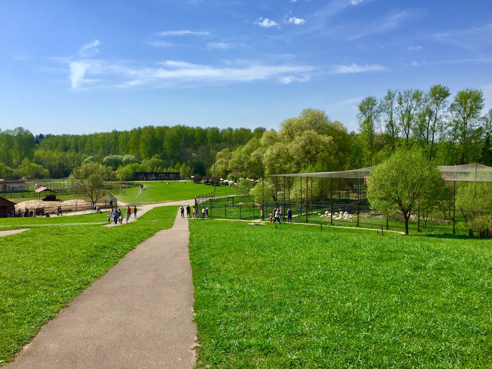 Фото в бортжурнале Skoda Superb Mk2