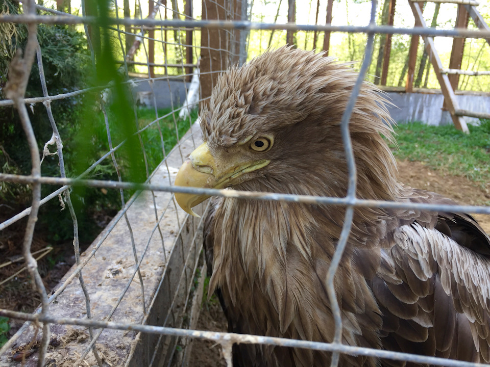 Фото в бортжурнале Skoda Superb Mk2
