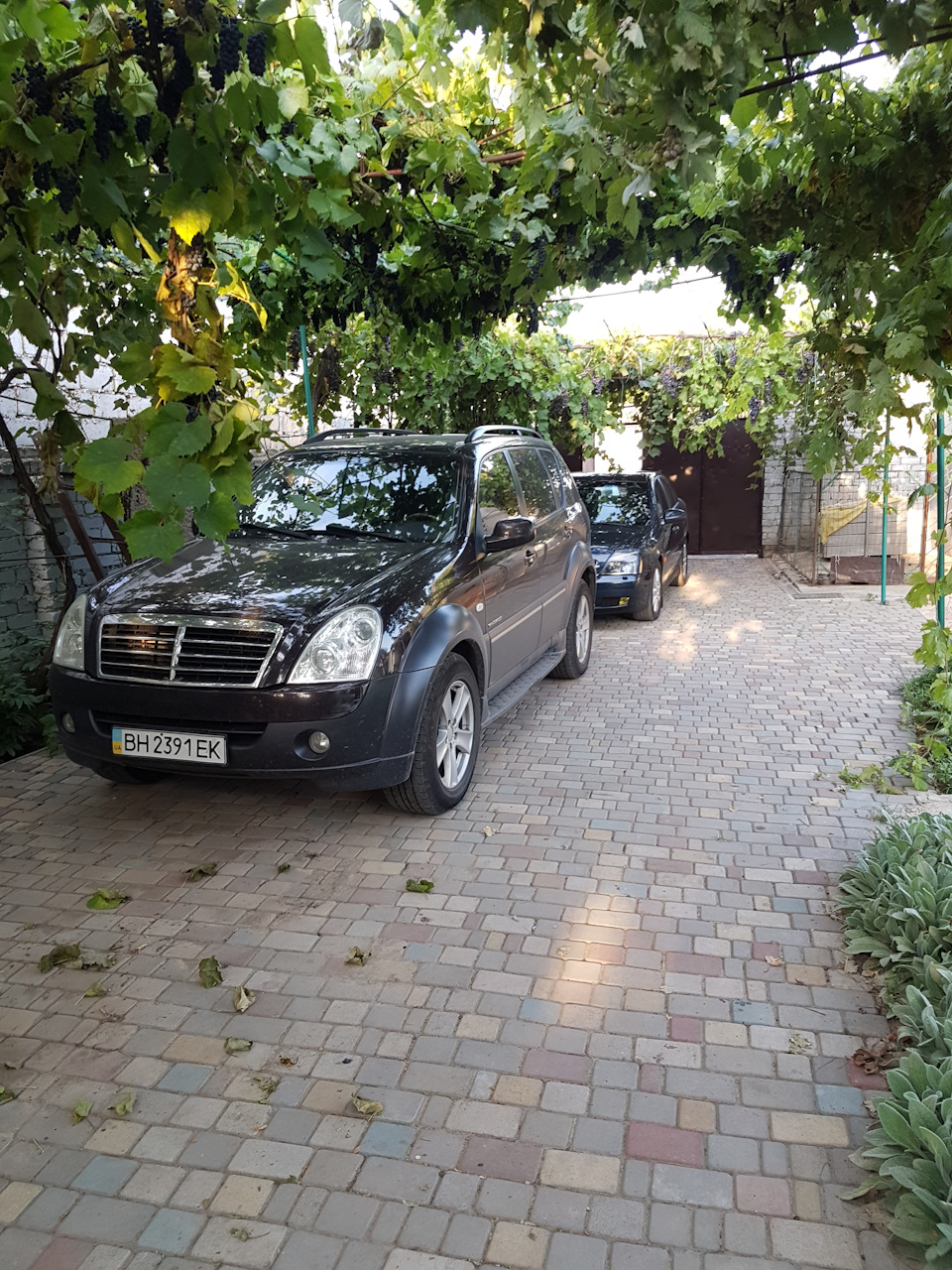 Фото в бортжурнале Opel Vectra C