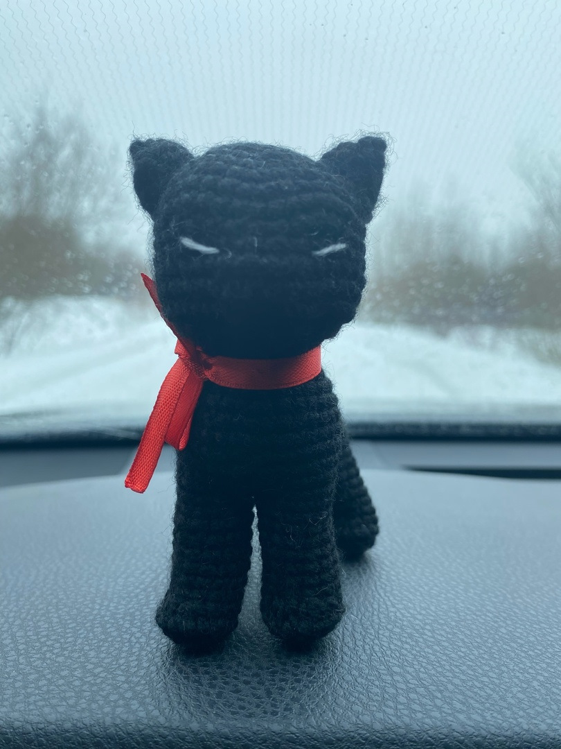 Кот по клички Норм, просто хороший кот. Хитрый😊 — Toyota Camry (XV70)