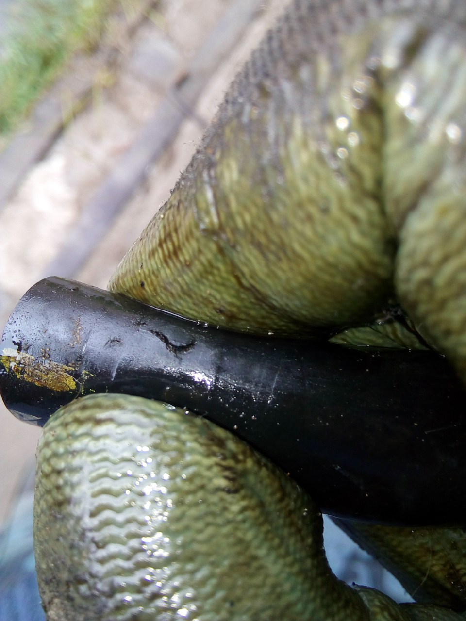 Место где подтекал шланг (дырка была под хомутом). — Honda Ridgeline (1G)