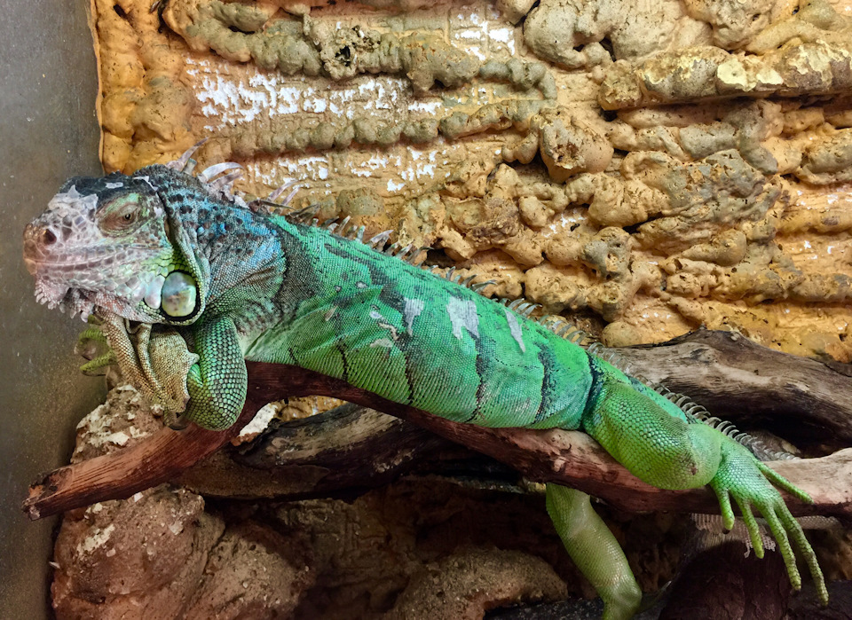 Фото в бортжурнале Skoda Superb Mk2