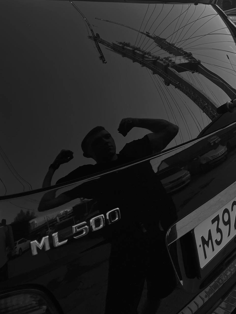 Что за лев этот тигр))) — Mercedes-Benz M-Class (W164)