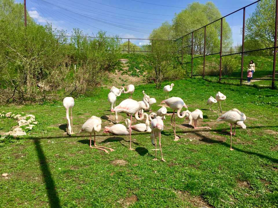 Фото в бортжурнале Skoda Superb Mk2