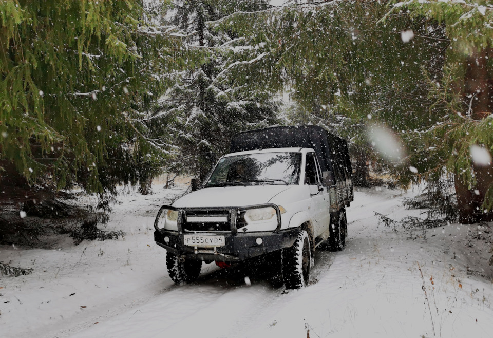 Трудно поверить, что эти сказочные если были посажены в глухой тайге в 40-е годы. — УАЗ Cargo