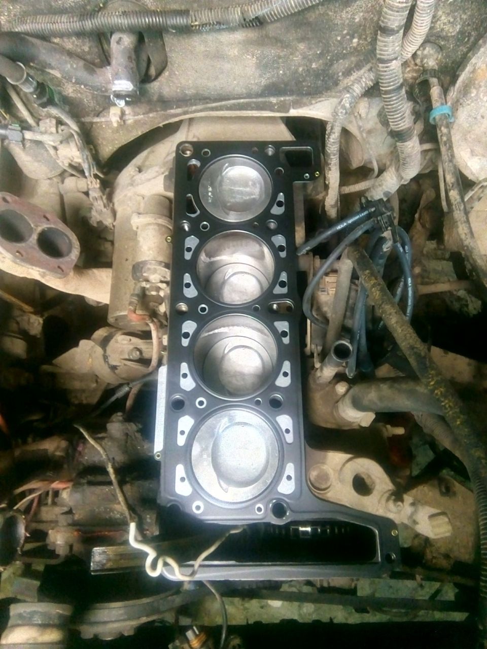 Фото в бортжурнале Chevrolet Niva (1G)