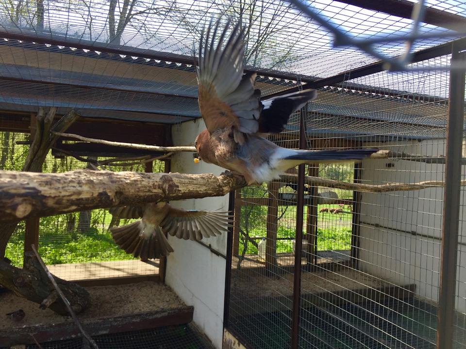 Фото в бортжурнале Skoda Superb Mk2